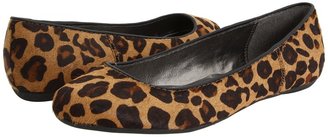 Calvin Klein Jeans Bailey (Leopard) - Footwear