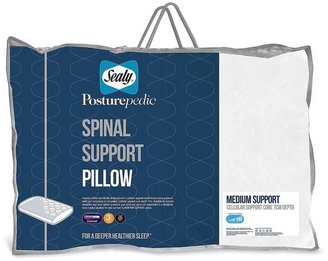 Sealy Spinal Pillows