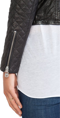Doma Quilted Sleeve Moto