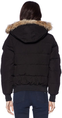 Penfield Skipton Down Insulated Glacier with Coyote Fur  Jacket