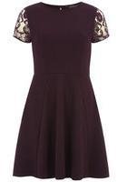 Dorothy Perkins Womens Plum Lace Textured Fit and Flare Dress- Purple