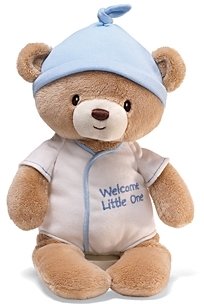 Gund Infant Boys' Welcome Little One Bear - 12