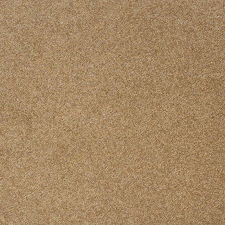 Milliken Legato Embrace 19.7" x 19.7" Carpet Tile in Muffin