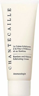 Chantecaille Women's Hibiscus & Bamboo Exfoliating Cream