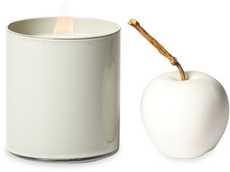 Dayna Decker Cedar & Apple Candle (12 OZ)