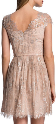 Cynthia Steffe Lace Fit & Flare Dress
