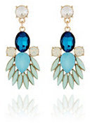 The Limited Colorful Statement Earrings