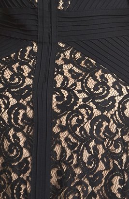 Tadashi Shoji Jersey Pleat Lace Fit & Flare Dress (Plus Size)