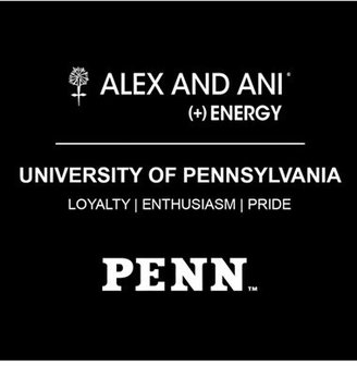 Alex and Ani 'Collegiate - University of Pennsylvania' Expandable Charm Bangle