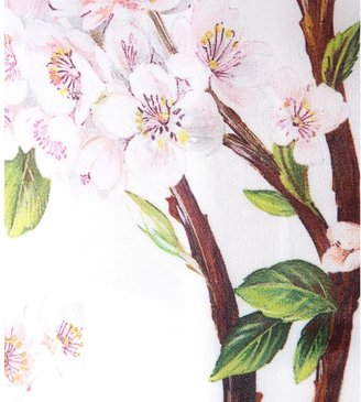 Dolce & Gabbana Silk-organza floral-print gown