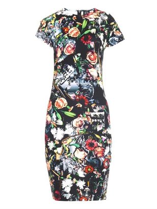 McQ Festival floral-print jersey dress
