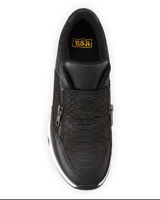 Ash Lenny Snake-Embossed Zip-Up Sneaker, Black