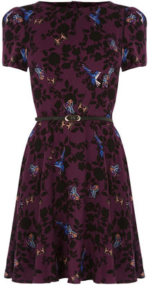 Oasis Shadow Bird Viscose Dress