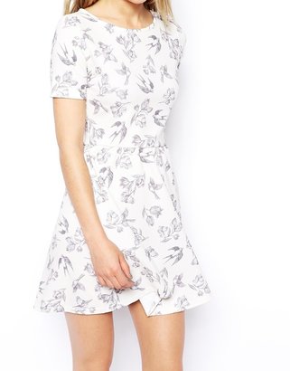 ASOS Skater Dress with Bird Print in Texture