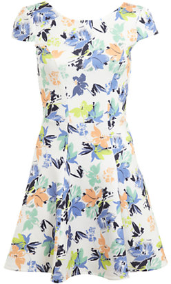 Miss Selfridge Floral Fit and Flare Dress, Multi