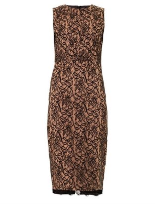 Camilla And Marc Lace front fitted dress