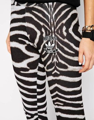 adidas Zebra Leggings