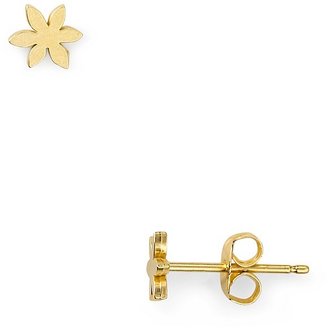 Dogeared Star Flower Earrings