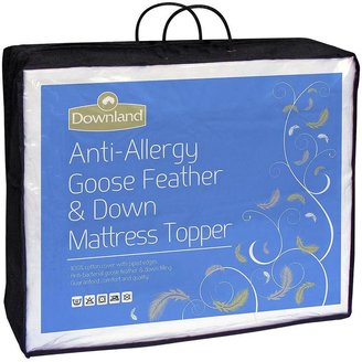 Downland Anti-Allergy Goose Feather And Down 3 Inch Topper