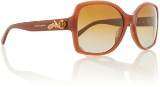 D&G 1024 D&G Sunglasses Ladies 0dg4168 sunglasses