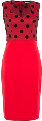 House of Fraser MAIOCCI Collection Bodycon Red Dress With Black Polka Dots