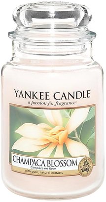 Yankee Candle Large Jar - Champaca Blossom