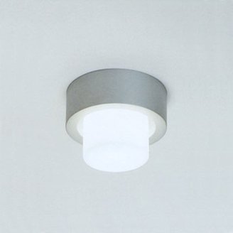Zaneen Mini Rondo Wall or Ceiling Light
