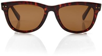 Cole Haan C8069 Tortoiseshell Wayfarer Sunglasses
