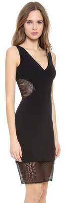Monique Lhuillier Seamed Dress with Lace Insets