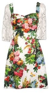 Dolce & Gabbana Short dresses