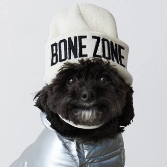 American Eagle American Beagle Outfitters Bone Zone Beanie