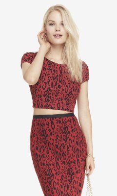 Express Leopard Jacquard Cropped Tee
