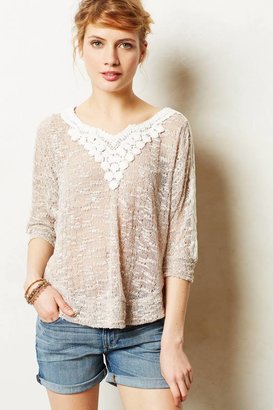 Anthropologie Meadow Rue Lace Applique Pullover