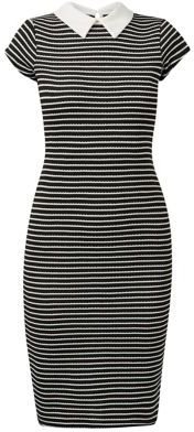 New Look Black Stripe Print Collared Midi Dress