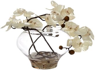 Linea Pearl orchid in bowl vase