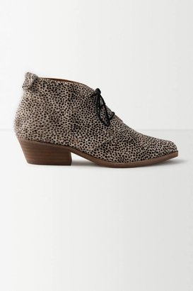 Anthropologie Calf Hair Lace-Up Booties