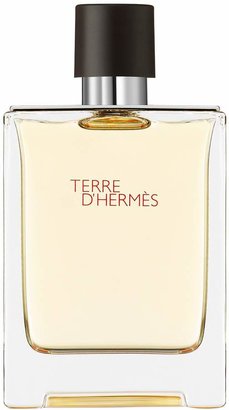 Hermes Terre d`Hermès Eau de Toilette 100ml