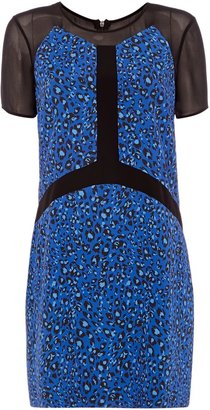 Pied A Terre Sheer printed dress