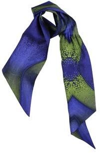 Roberto Cavalli Oblong scarves