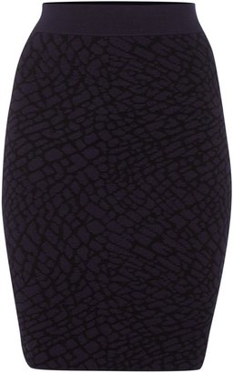 Pied A Terre Knitted Jacquard Skirt