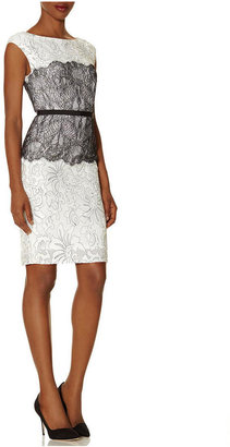 The Limited Embroidered Lace Sheath Dress