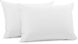 Coyuchi Organic Soft Down Pillow, Standard