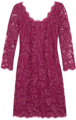 Diane von Furstenberg Zarita berry lace overlay cotton blend dress