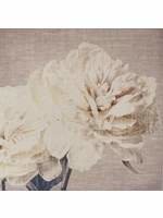 Graham & Brown Beige cream petals print on fabric