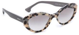 Prada Oval Cat Sunglasses