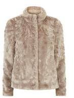 Dorothy Perkins Womens Blush Short Zip Up Faux Fur Coat- Blush