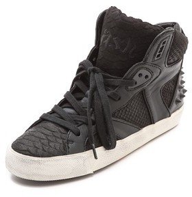 Ash Sonic High Top Sneakers