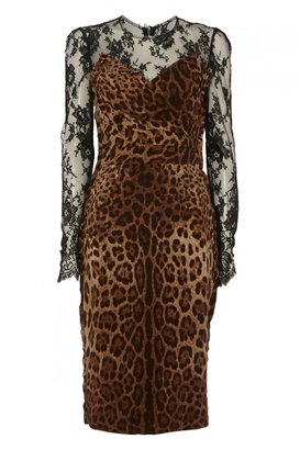 D&G 1024 Dolce & Gabbana Leopard Print Lace & Velvet Dress