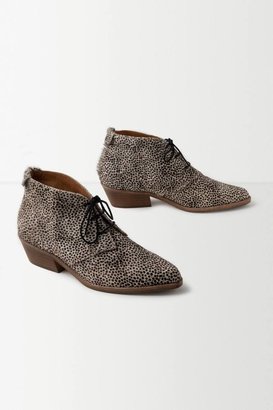 Anthropologie Calf Hair Lace-Up Booties