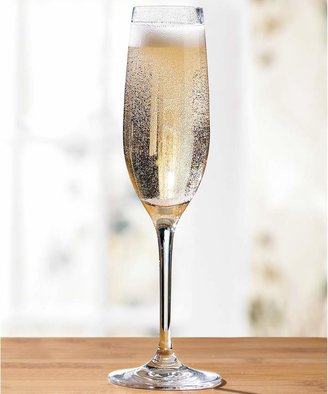 Wine Enthusiast Break-Resistant Champagne Flute Set